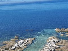 -海岛日记(养马岛店)