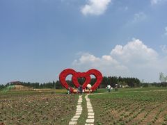 -北纬44度·金珠花海休闲农业旅游景区