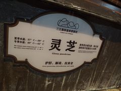 -三江森林温泉度假区