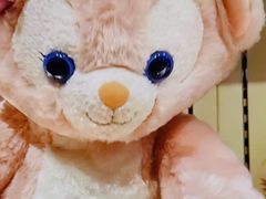 -小镇影院迪士尼小熊Duffy与他的朋友合影地