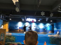 -顺德南宏海立方海洋公园