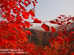 -周口店坡峰岭风景区