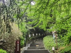 -伯先公园