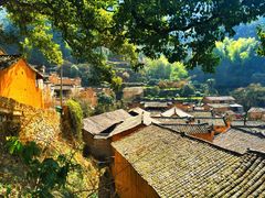 -杨家堂村