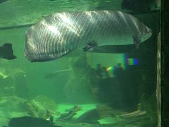 -多彩贵州城极地海洋世界