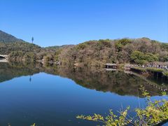 -杭州半山国家森林公园