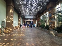 -杭州开元森泊度假乐园