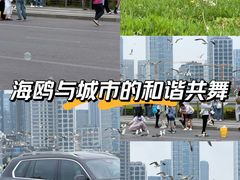 -星海广场