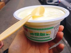 德禄酸奶-德禄酸奶(莫家街店)