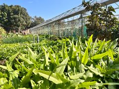 -海堤葡萄园中小学生研学基地