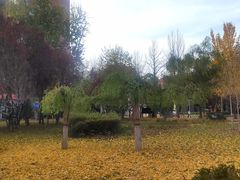 -西清公园
