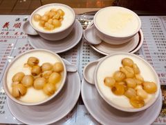 -义顺牛奶公司(新马路老店)
