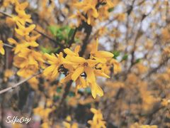 -莹珠阁·私房菜