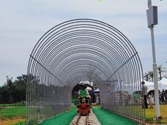 -长洲岛都市农业公园