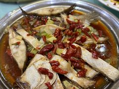 鲶鱼-超越海鲜屋(飞龙物业店)