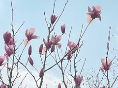 -DQ·蛋糕·冰淇淋(五角场万达店)