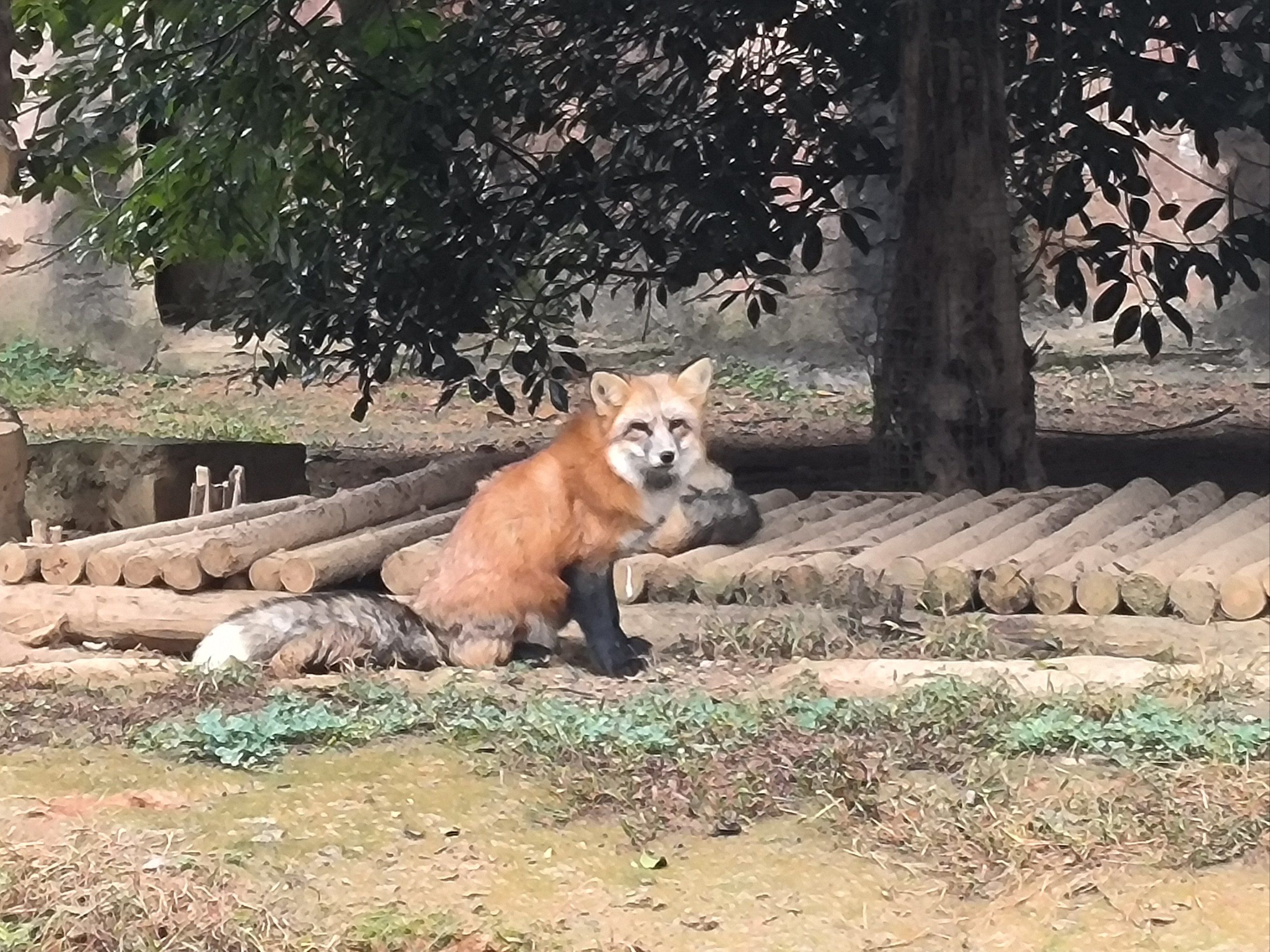 杭州野生动物世界