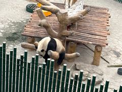 -沈阳森林动物园