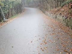 -雨花胜境