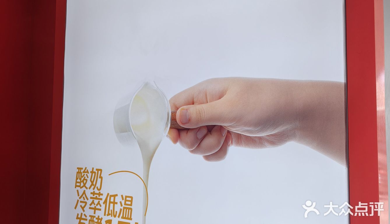 新晋网红店打卡
