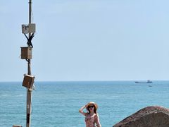 -广东惠东海龟国家级自然保护区