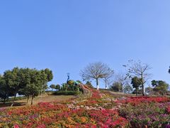 -东莞植物园