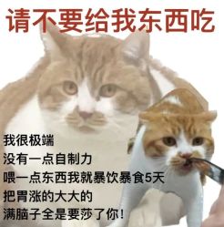 -摩瘦纤体订制减肥