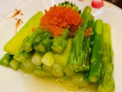 -成都保利公园皇冠假日酒店(熊猫基地店)
