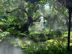 -Chom Cafe and Restaurant