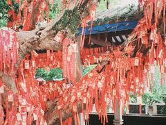 -国恩寺