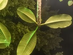 -台山颐和温泉城