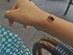 -星巴克(古美路店)