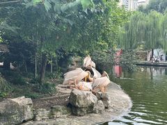 -成都动物园