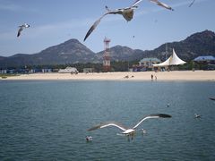 -海驴岛(荣成市)