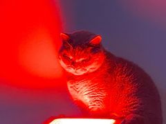 -极木²邸 人与宠物·互动社区