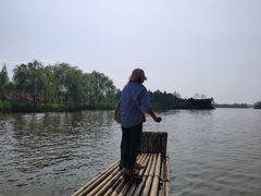 -合肥滨湖国家森林公园