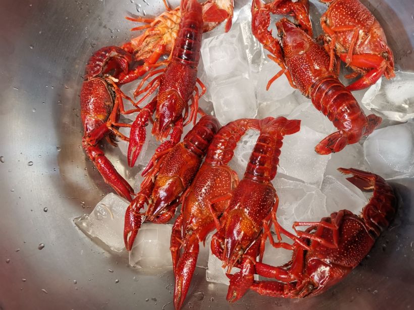 冻冷番茄汤配茅台酒香小龙虾