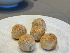 -合肥滨湖国家森林公园