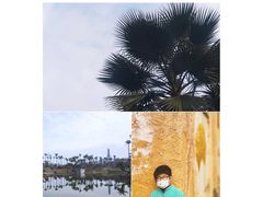 -枫香湖儿童公园