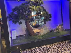 -绿茶餐厅(成都大悦城店)