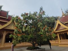 -西双版纳勐泐文化旅游区