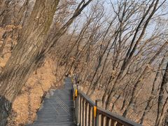 -帽儿山国家森林公园