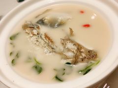 养颜白汁河豚-肆月河豚·新淮扬(金融街店)