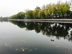 景点-什刹海-后海