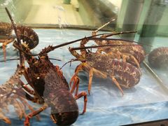 -海天一色海景自助餐厅(西港花园店)