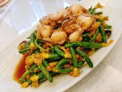 黄瓜花拌扇贝-双井轩(双井店)