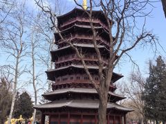-北京世界公园