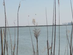 -天津东丽湖风景区