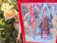 -LE SHARE洛笙·花园西餐(北京路步行街店)