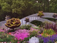 -上海共青森林公园